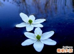 网易云名字