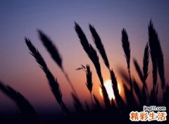 忘记过去的网名