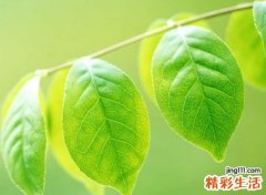 温暖的抖音名字