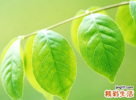 温暖的抖音名字