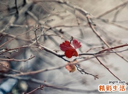 qq好听的网名