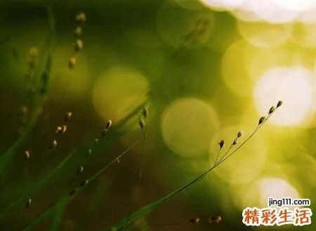 心灰意冷的网名