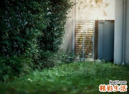 2个字游戏名字