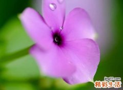 温柔善良的网名