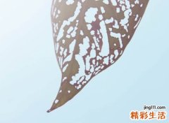 网易云悲伤名字