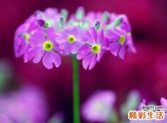 qq好看的名字