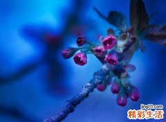 网易云悲伤网名