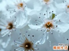无欲无求的网名