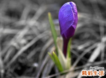 思念某人的网名