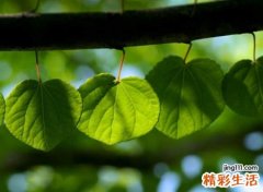 4个字带静字独特昵称