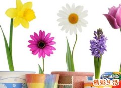 四人开心搞笑的群名称