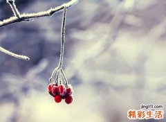 2字清冷孤傲古风名字