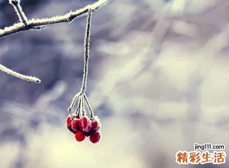 2字清冷孤傲古风名字