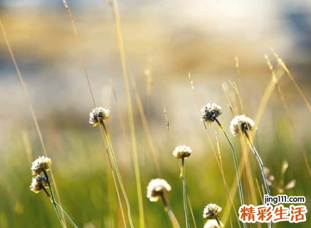 很拉风的游戏奶妈名字