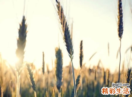 lol大区名字