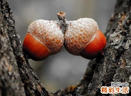 6个字的逗比游戏名字