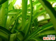 伤感的游戏网名