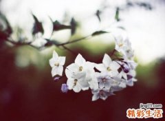 伤感两个字网名