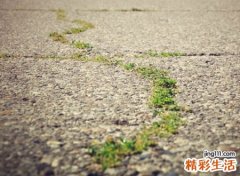霸气带三的队名