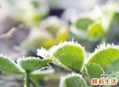 很萌很可爱的三字昵称