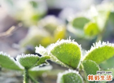 很萌很可爱的三字昵称