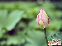 特别的微信名字