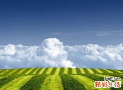 7个字古风诗意的网名