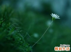 把心封闭的网名