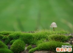 两个字伤感网名