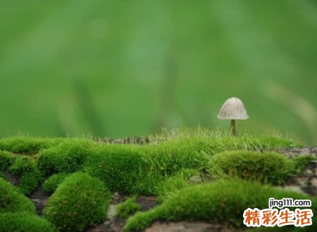 两个字伤感网名