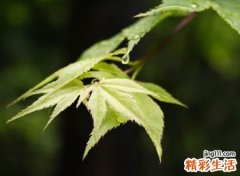 特别遗憾的网名