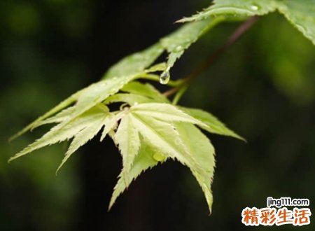 特别遗憾的网名