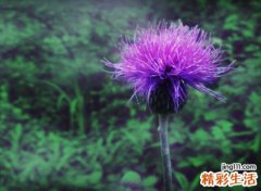 形容遗憾的网名