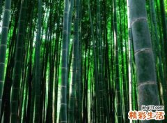 7个字有诗意的游戏名字