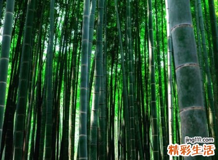 7个字有诗意的游戏名字
