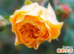 6个字有诗意的游戏名字