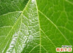 两个字的霸气名字