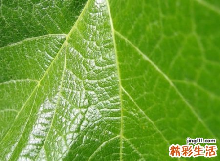 两个字的霸气名字