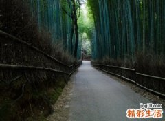 霸气的司机网名