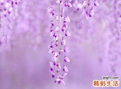 平淡幸福的简单微信名