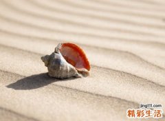 平安顺利的网名二字版