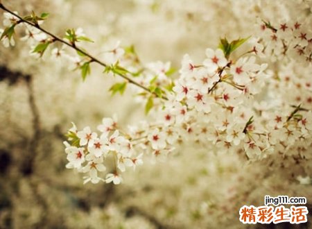 告别过去的微信昵称