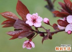 2021最美的相遇微信网名