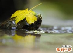 重新改变自己的网名版