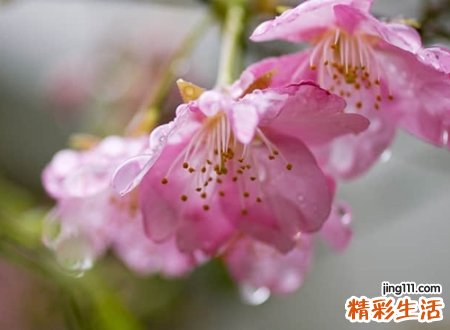 告诫自己冷静的网名