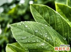 守护一个人的网名