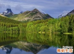 适合中年人的网名