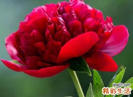 唯美4个字网名