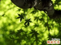 放弃一个人的网名