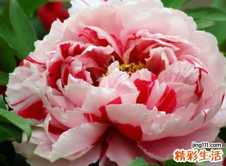 适合70后的网名